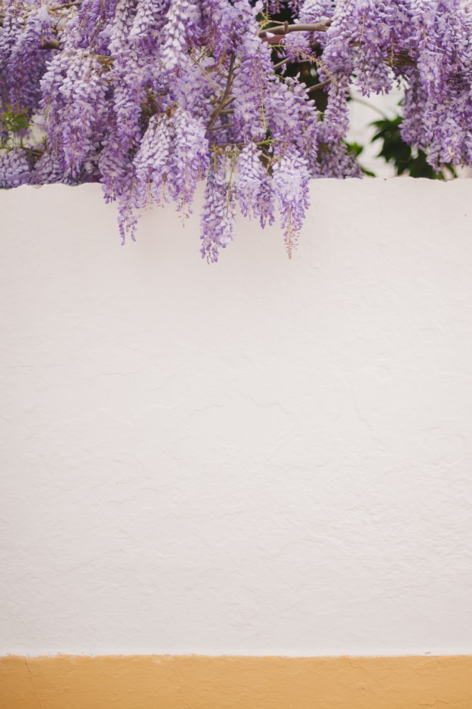 Travel Photographer Croatia