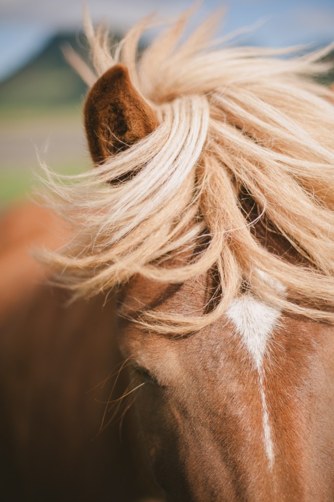 Travel Photographer Iceland