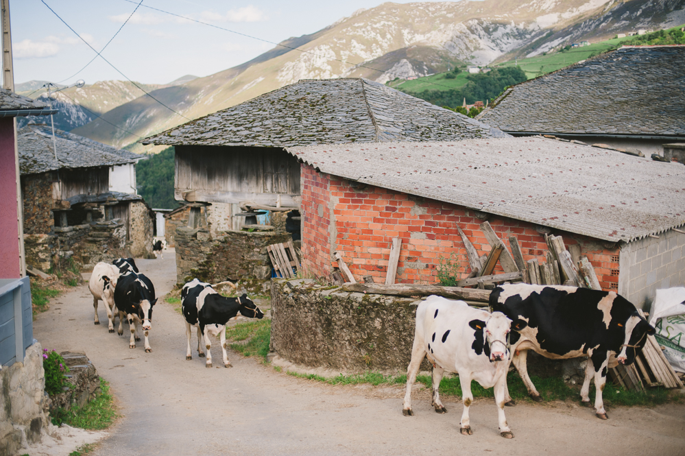 Travel Photographer Spain