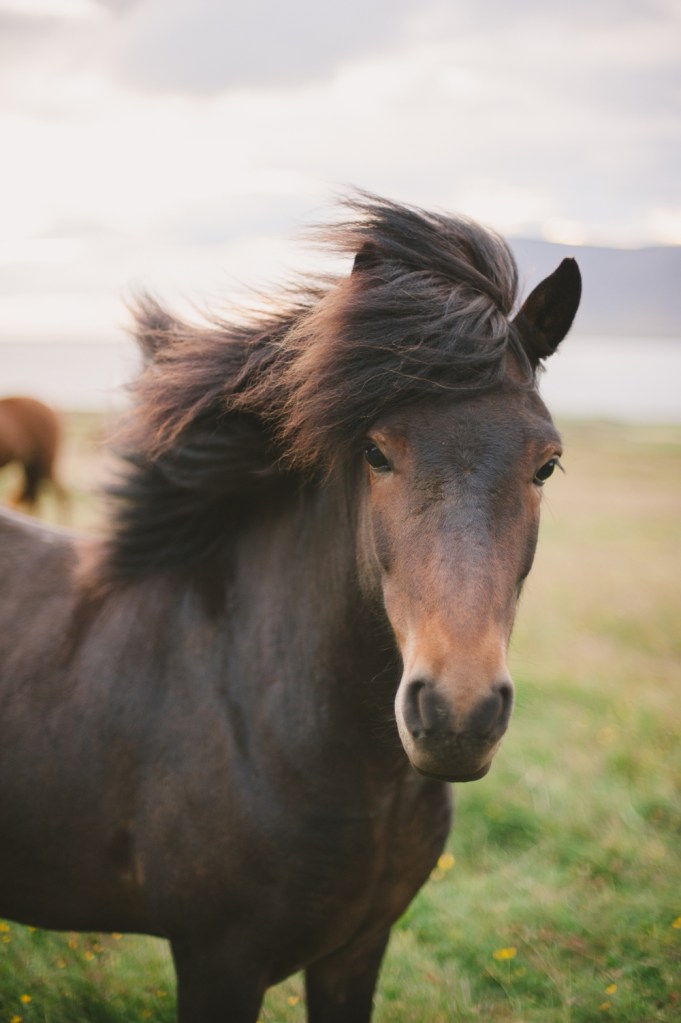 Travel Photographer Iceland
