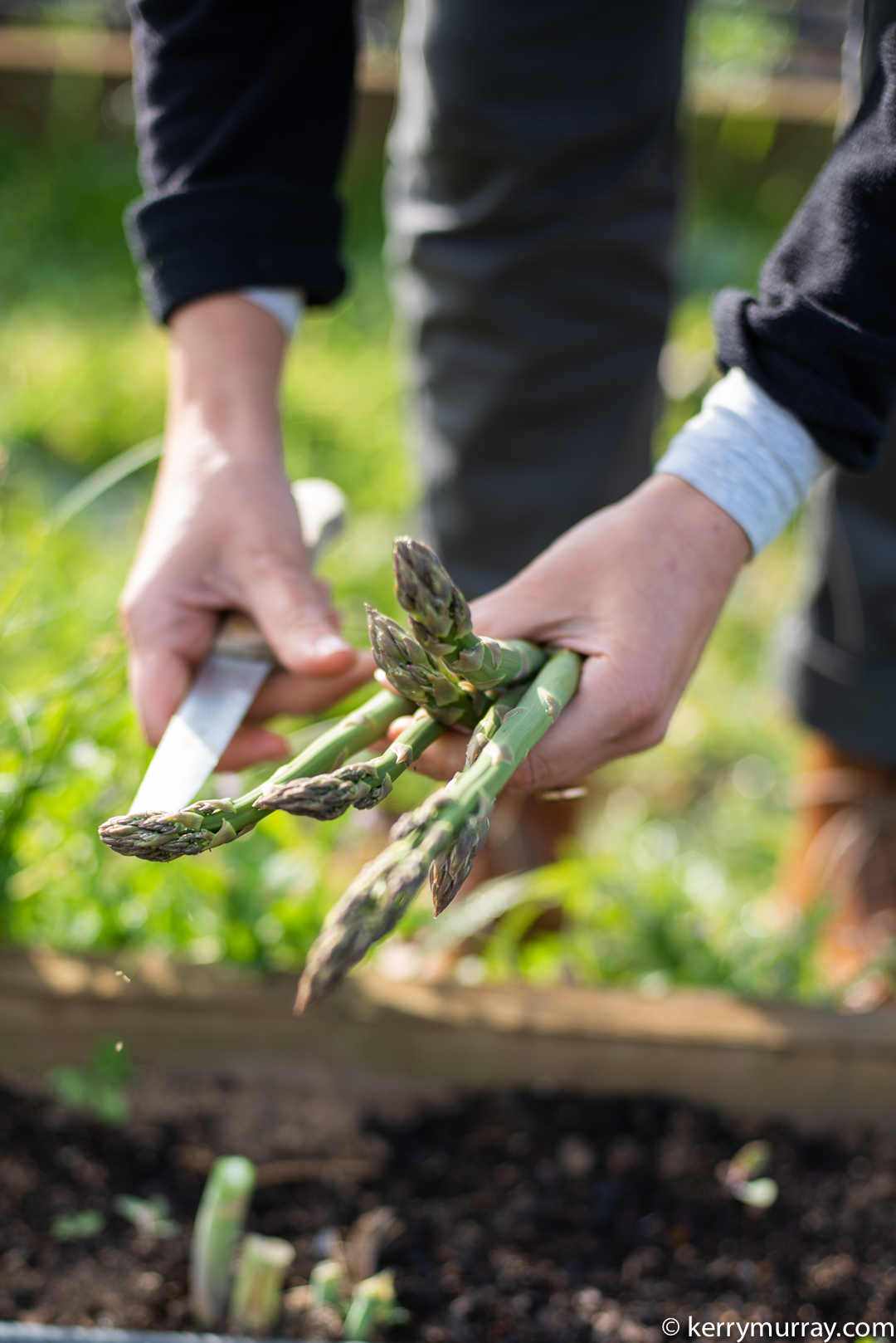Food Photographer Portugal