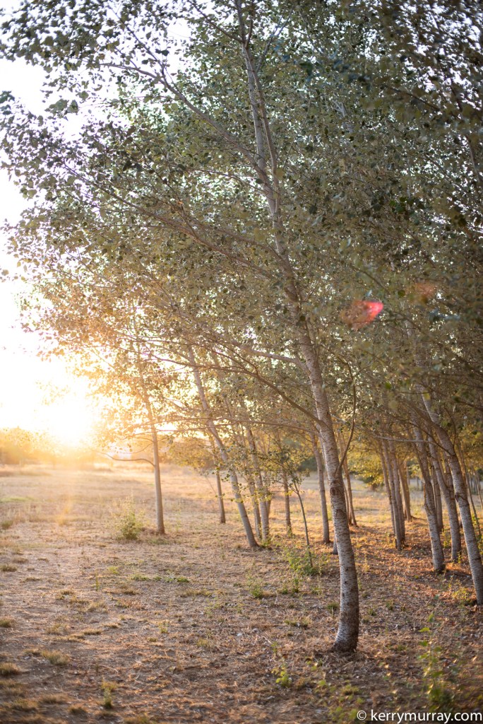 Food Photography Portugal