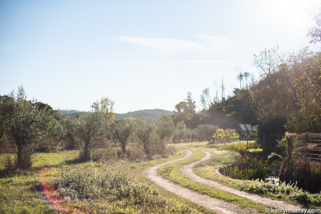 Food Photographer Portugal