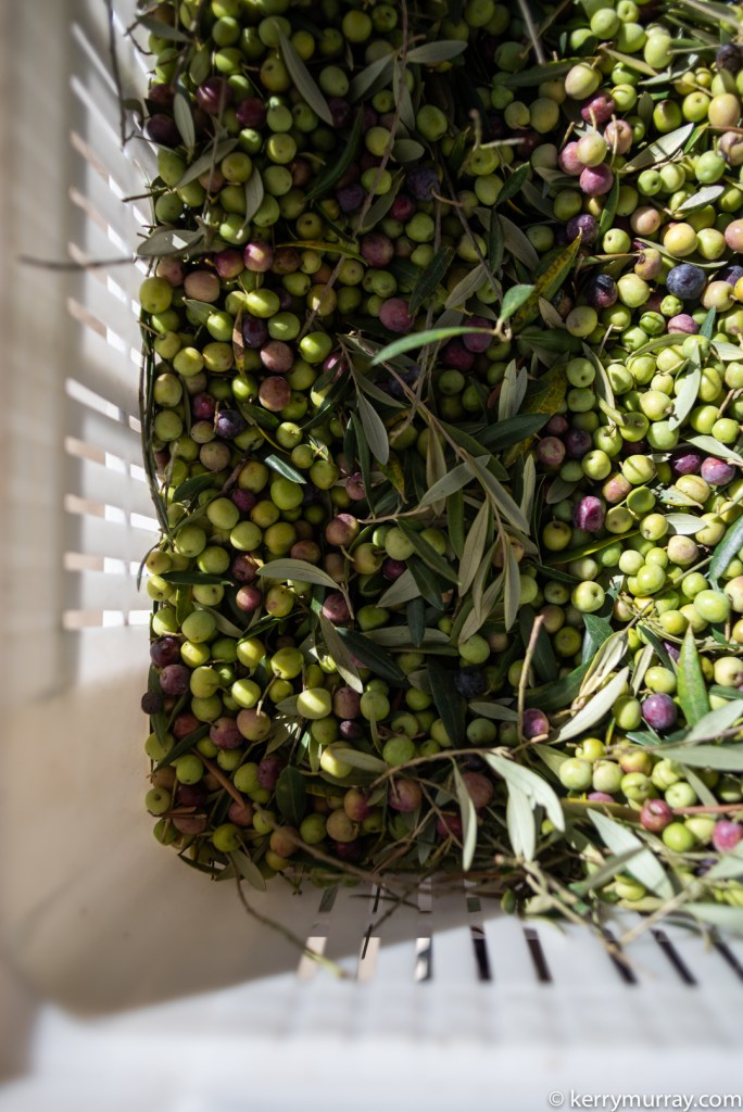 Food Photographer Portugal