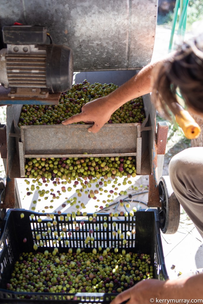 Food Photographer Portugal