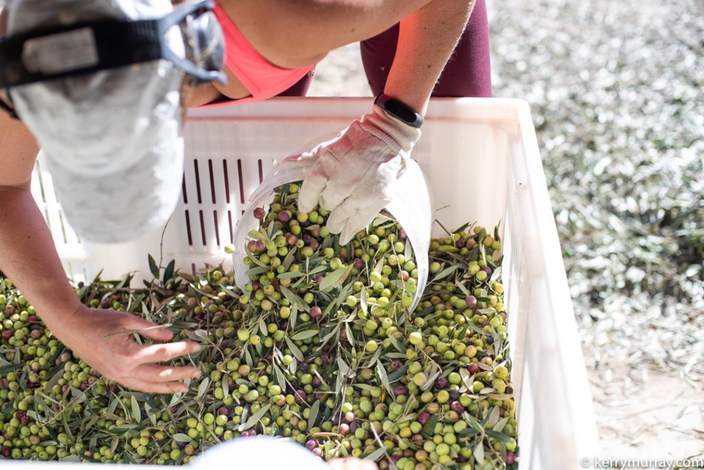 Food Photographer Portugal