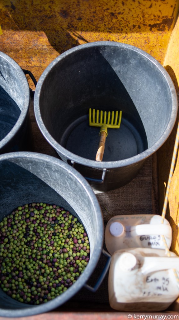 Food Photographer Portugal