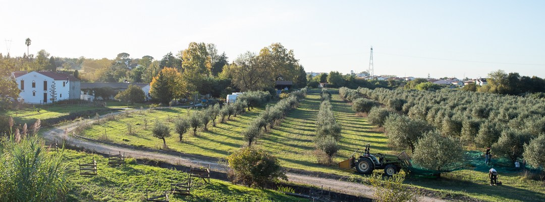 Food Photographer Portugal