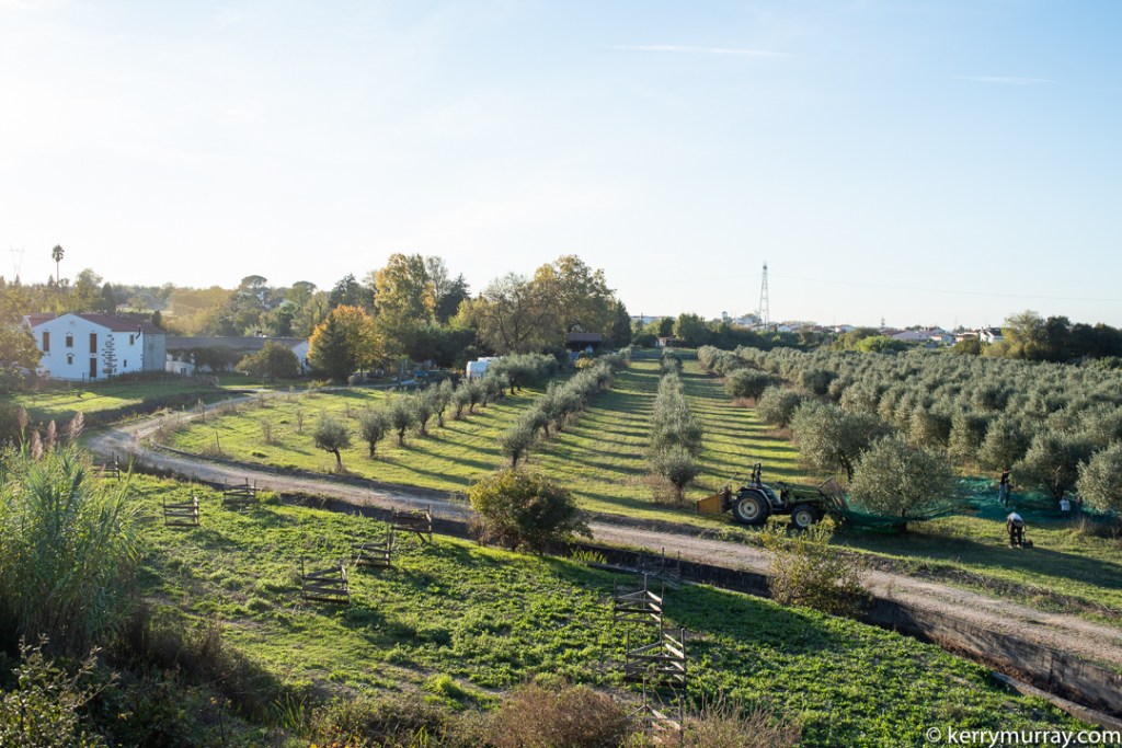 Food Photographer Portugal