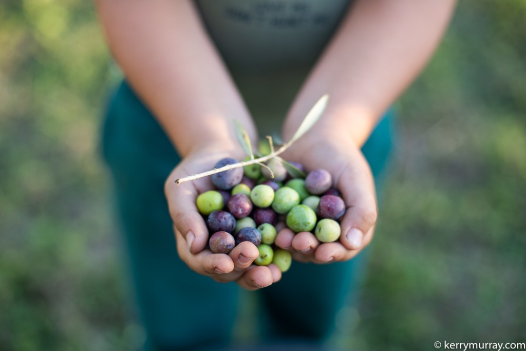 Food Photographer Portugal