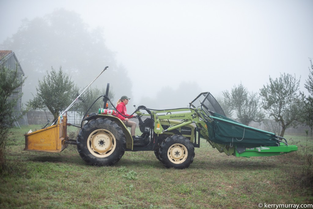 Food Photographer Portugal