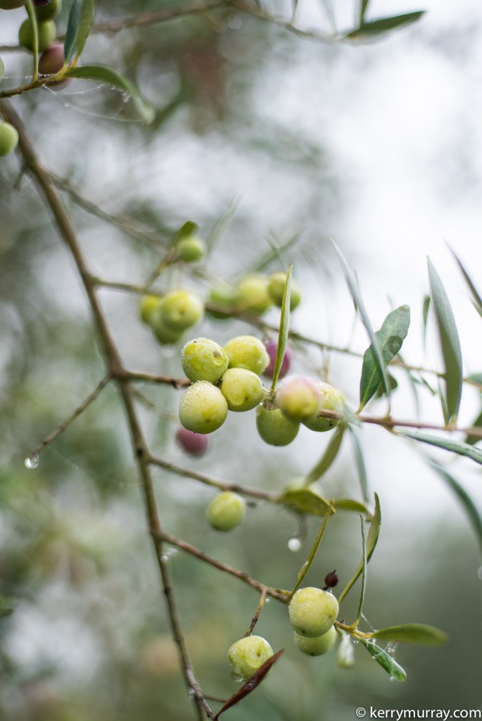 Food Photographer Portugal