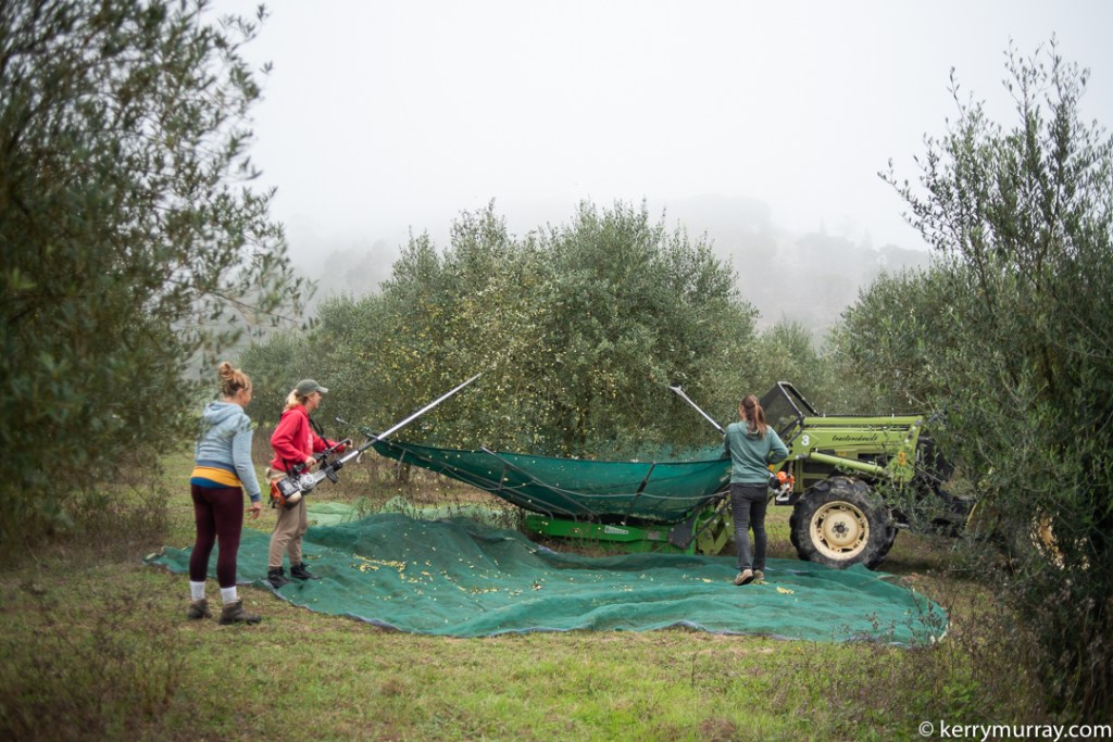 Food Photographer Portugal