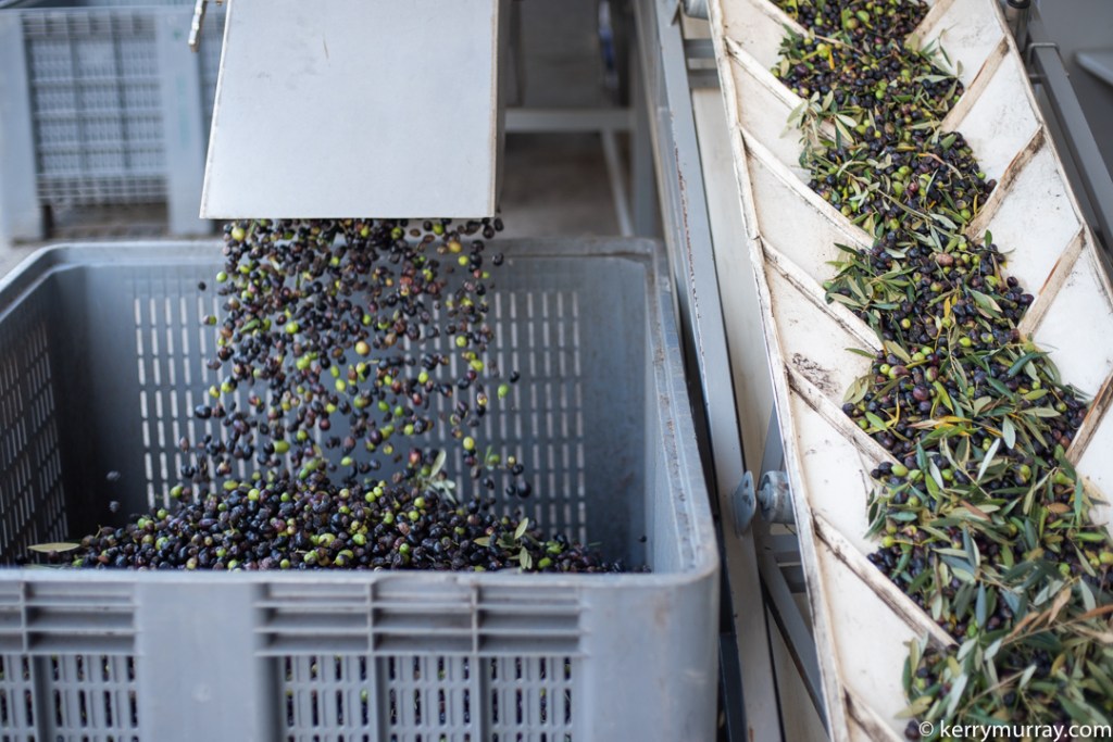 Food Photographer Portugal