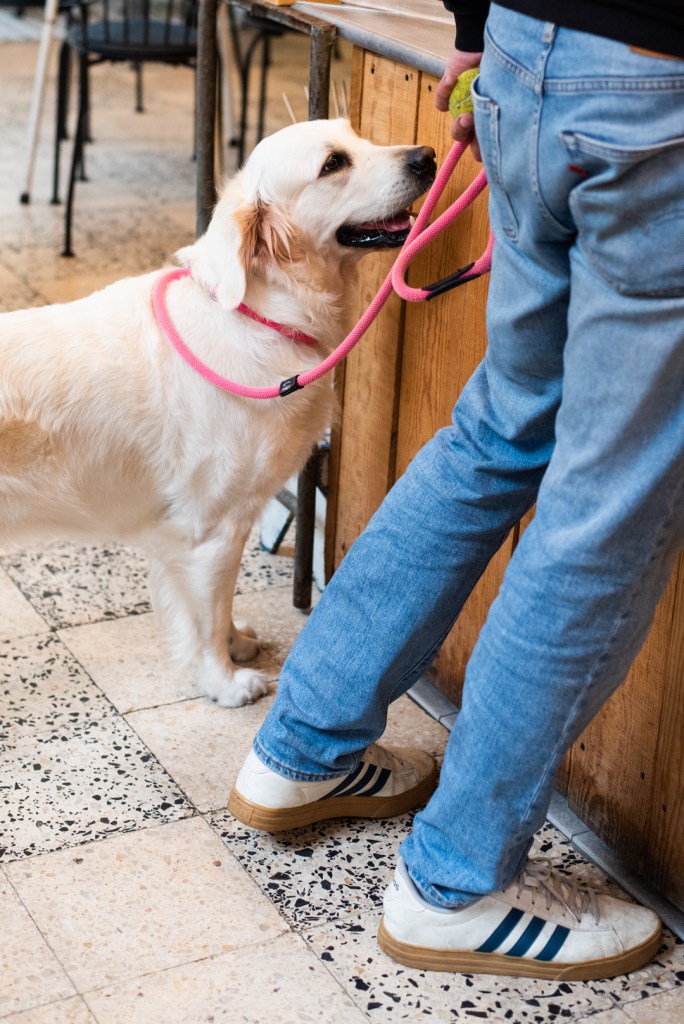 food photographer portugal