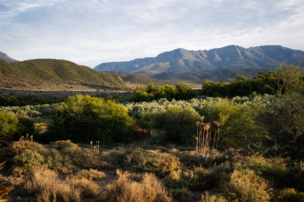 Interior Photography South Africa