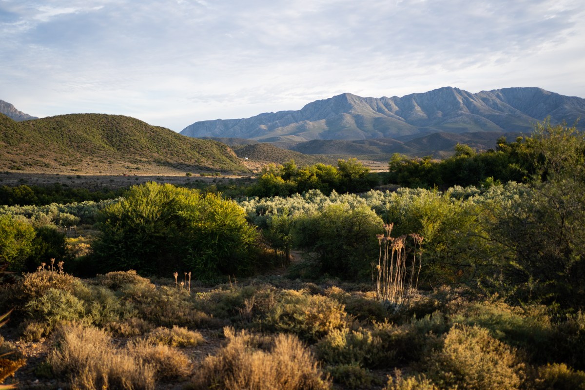 Interior Photography South Africa | Numbi&nbsp;Valley