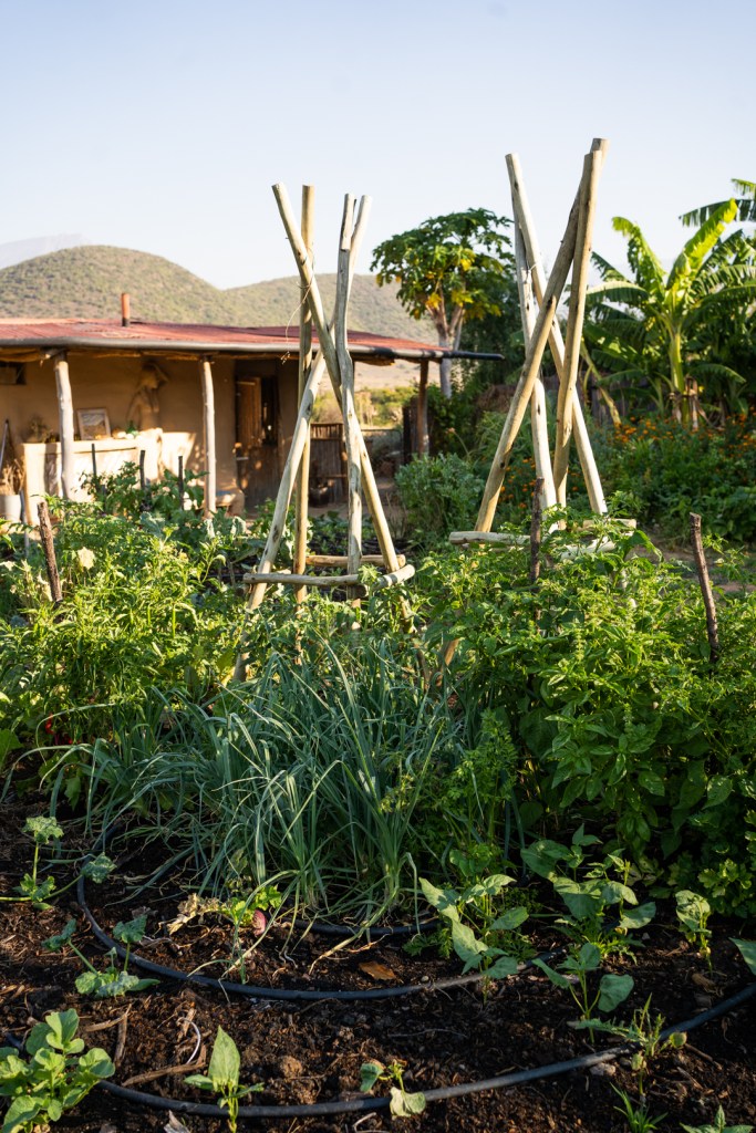 Interior Photography South Africa