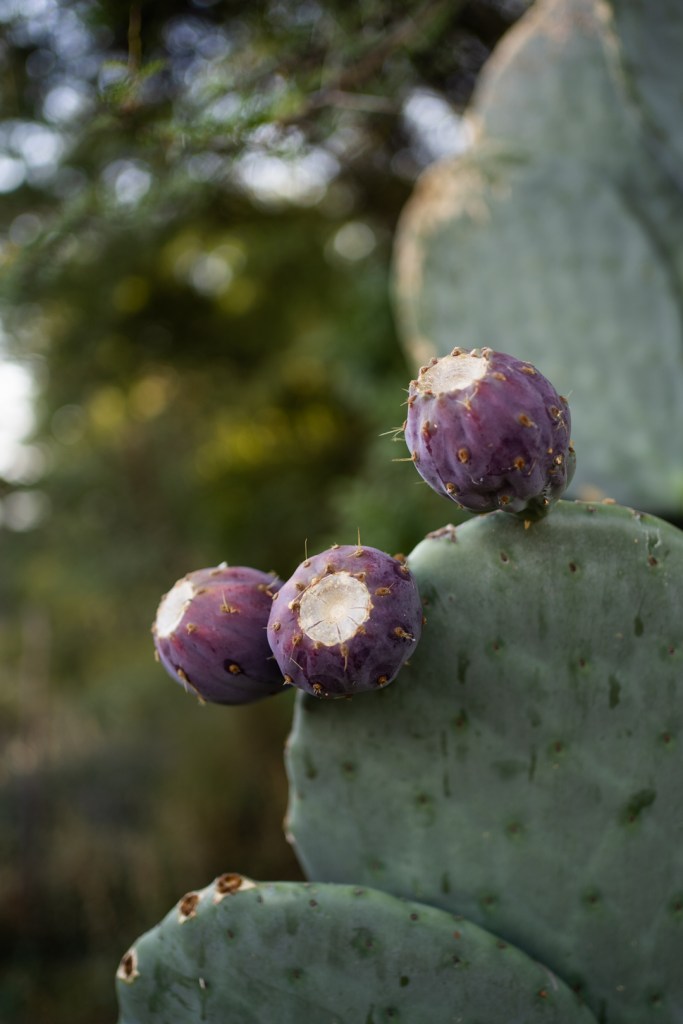 Interior Photography South Africa