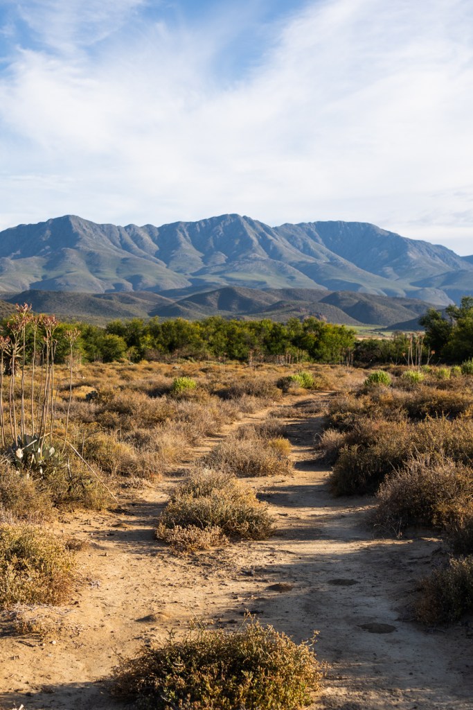Interior Photography South Africa