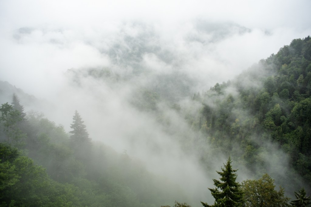 National Geographic Traveller UK | Tea Time